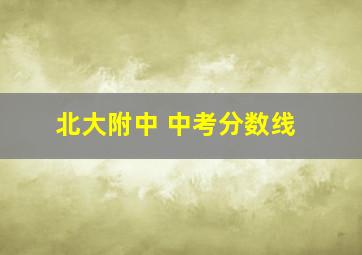 北大附中 中考分数线